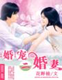 婚宠二婚妻